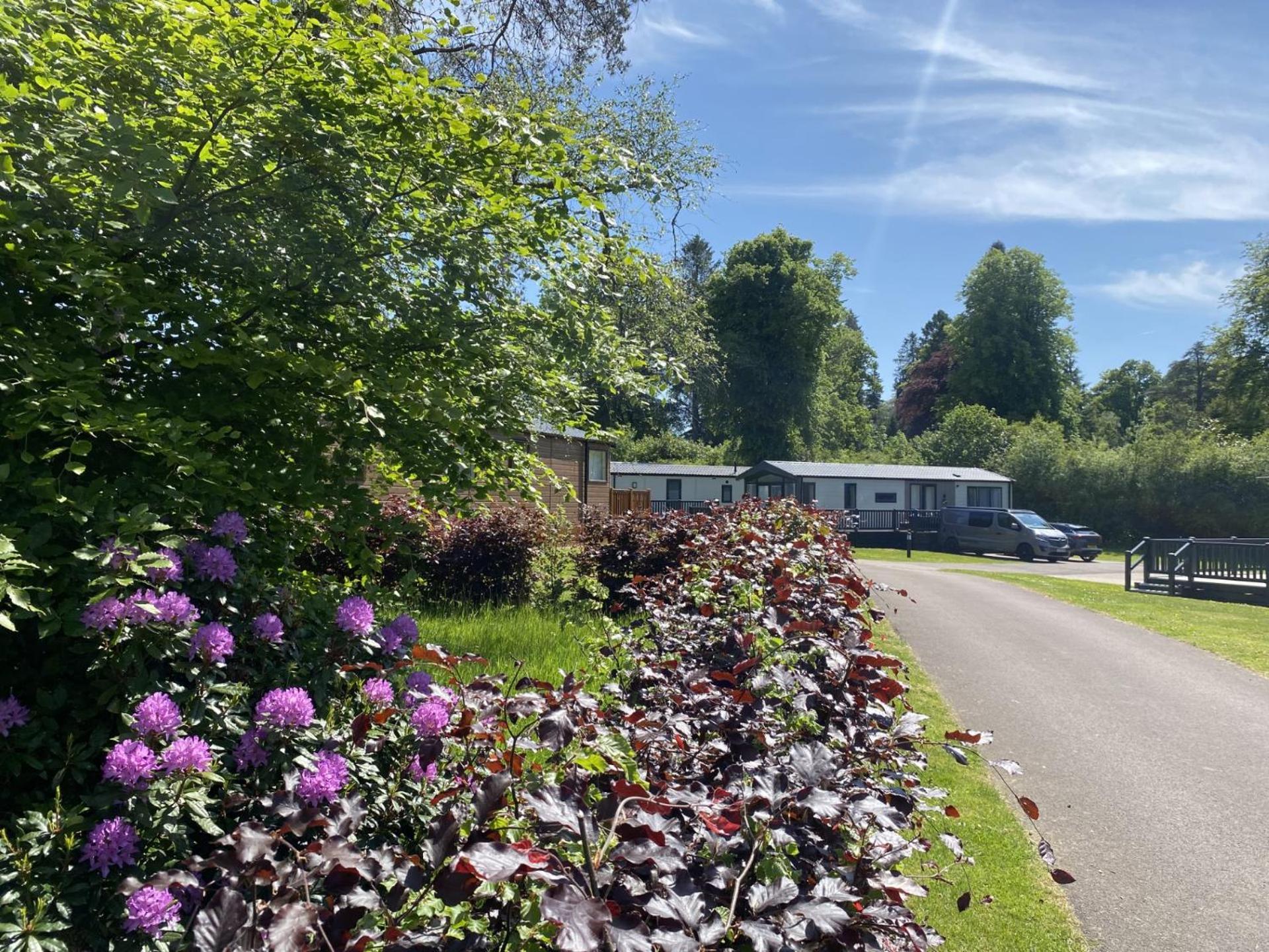 Callander Woods Holiday Park Bagian luar foto